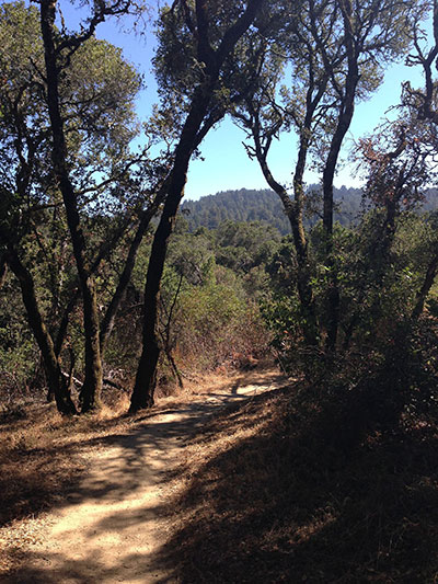 thornewood_open_space_preserve_mountains_and_trail