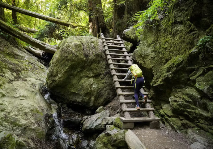 Steep Ravine Hike