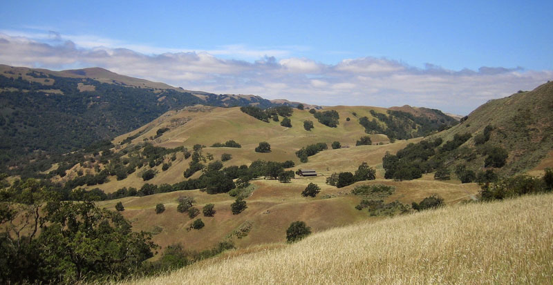 Hike in the Sunol Wilderness